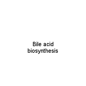 Bile acid biosynthesis